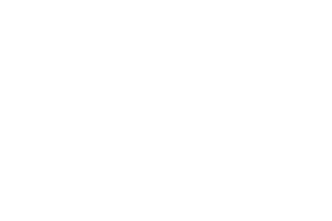 Title of the Game: Vanish